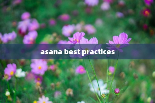 asana best practices