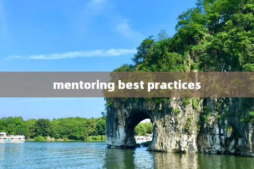 mentoring best practices