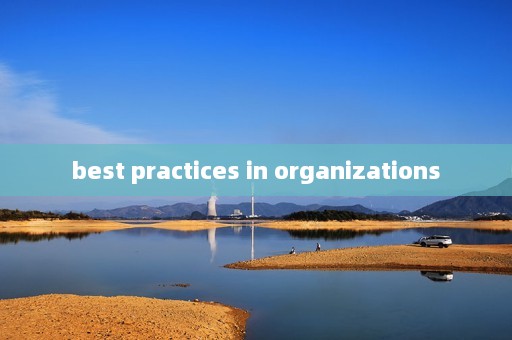 best practices in organizations