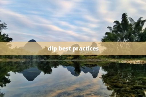 dlp best practices
