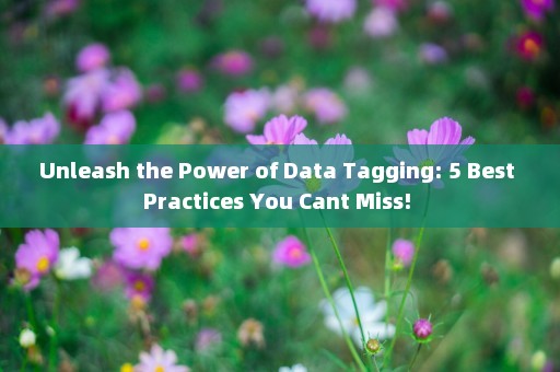 Unleash the Power of Data Tagging: 5 Best Practices You Cant Miss! 