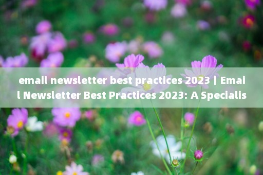 email newsletter best practices 2023丨Email Newsletter Best Practices 2023: A Specialists Perspective 