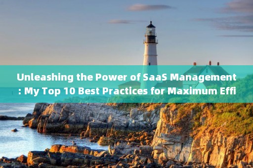 Unleashing the Power of SaaS Management: My Top 10 Best Practices for Maximum Efficiency 