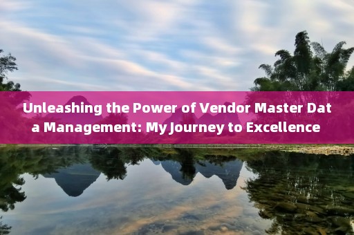 Unleashing the Power of Vendor Master Data Management: My Journey to Excellence 