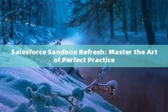 Salesforce Sandbox Refresh: Master the Art of Perfect Practice 