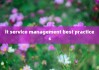 it service management best practices