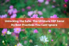 Unlocking the Safe: The Ultimate ERP Security Best Practices You Cant Ignore 