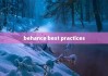 behance best practices