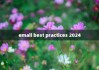 email best practices 2024