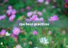 rpa best practices