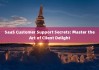 SaaS Customer Support Secrets: Master the Art of Client Delight 