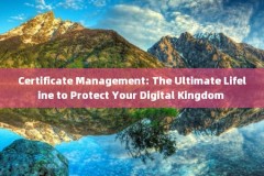Certificate Management: The Ultimate Lifeline to Protect Your Digital Kingdom 