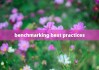benchmarking best practices