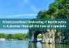 it best practices丨Embracing IT Best Practices: A Journey Through the Eyes of a Specialist 