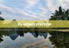 byod best practices