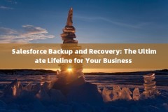 Salesforce Backup and Recovery: The Ultimate Lifeline for Your Business 