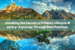 Unveiling the Secrets of Product Lifecycle Mastery: A Journey Through Best Practices 